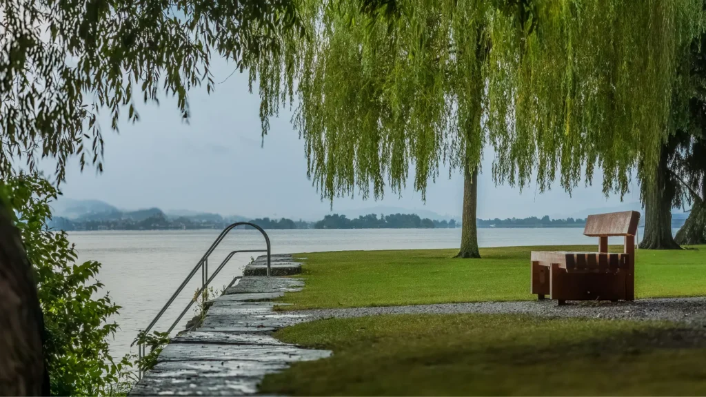 lake scale (ascension)