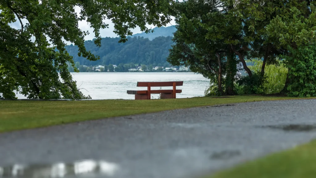 the photo with the empty bench (loneliness)