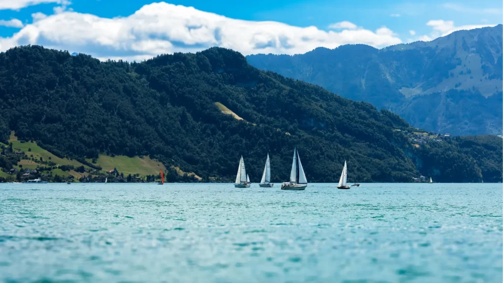 Sail boats