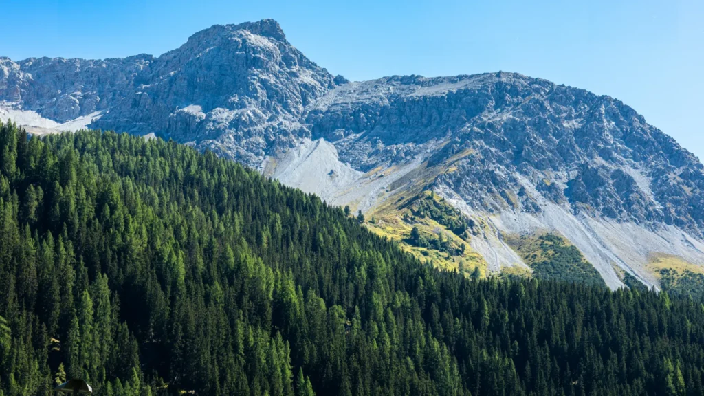 How to Rebuild Your Professional Identity After Moving to Switzerland